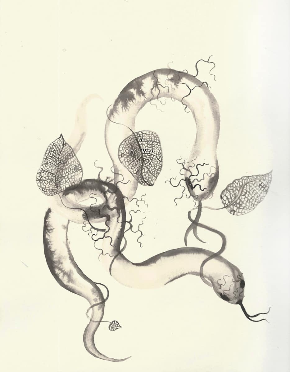 Tangled by Jenny Chen, Image 9.
