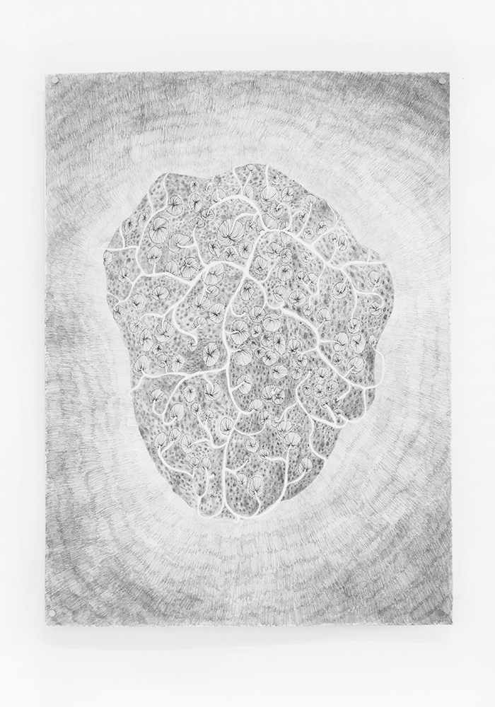 Coral to Heart by Jenny Chen, Image 2.