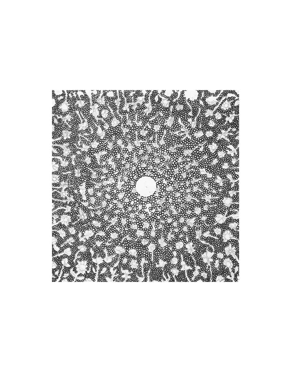 In Portal by Jenny Chen, Image 2.