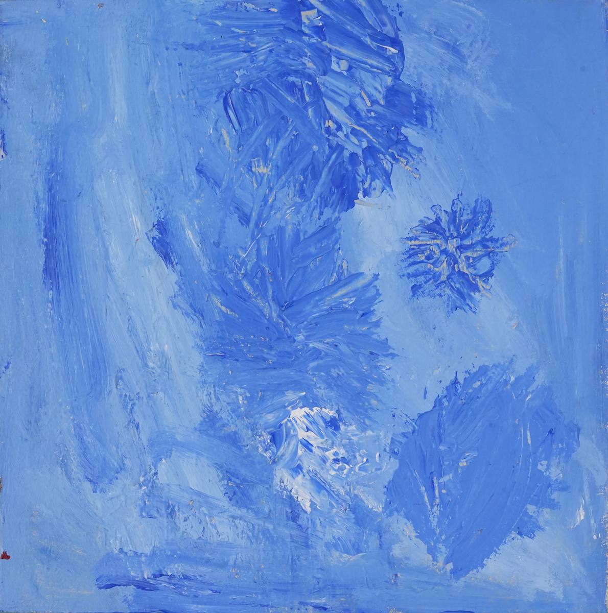 Trial blue canvas 