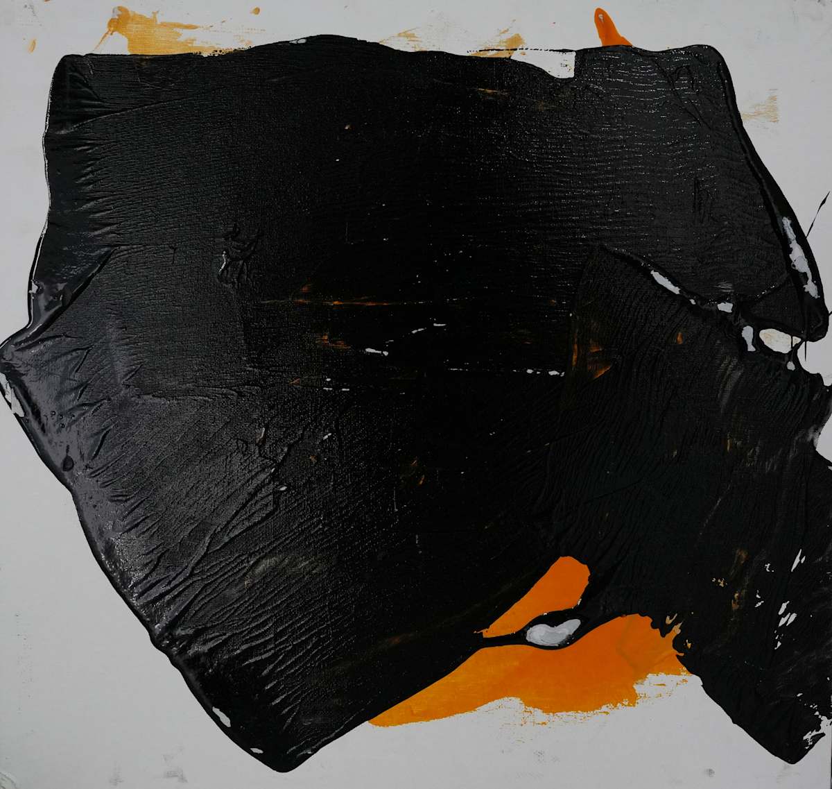 Zaid balck cartonato, Image 1.