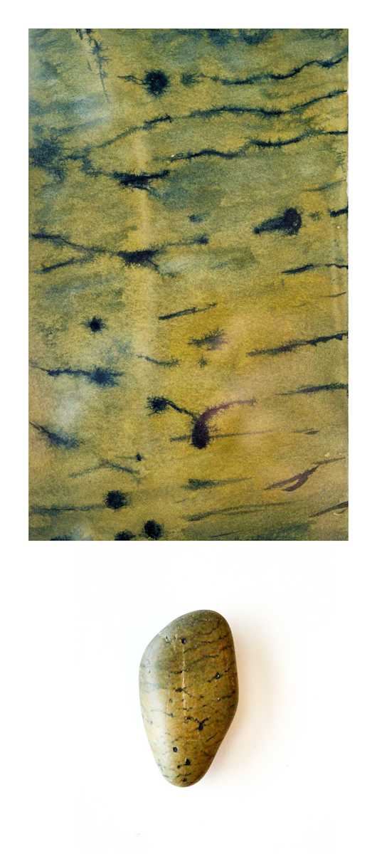 Pebble Study 1 by Emily Schwartzman 