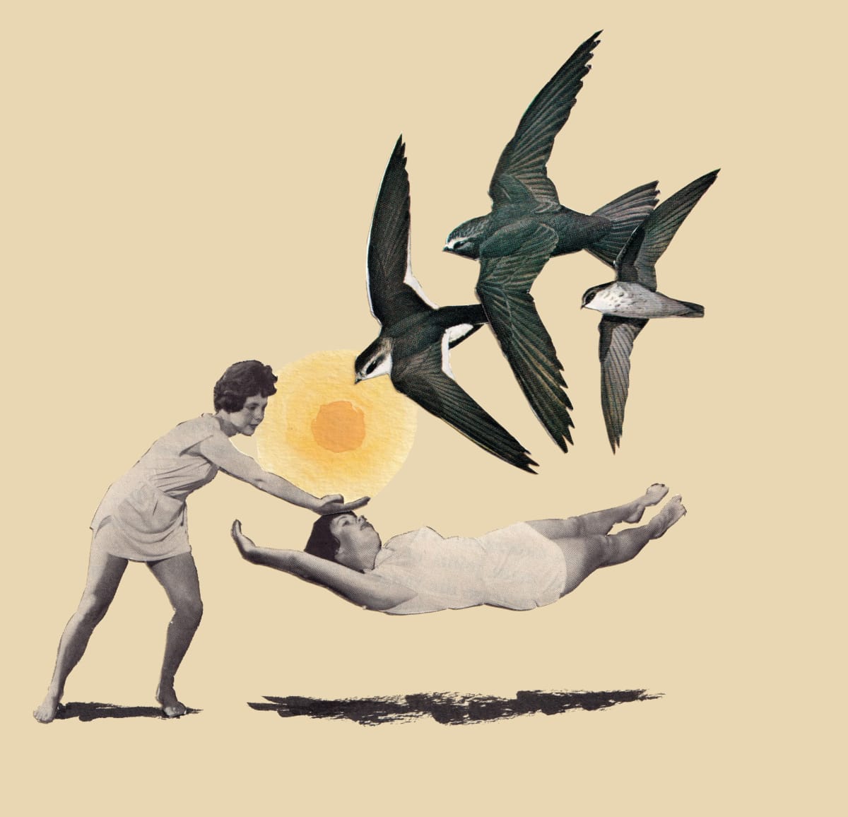 Bird Collage 2 by Emily Schwartzman 