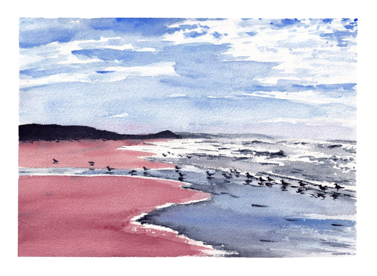 Birds of Point Reyes by Emily Schwartzman 