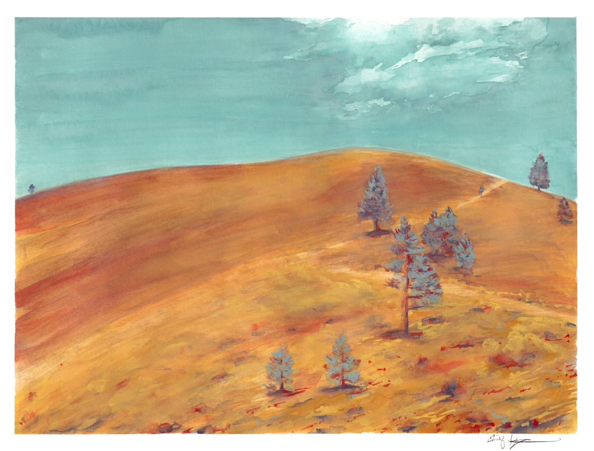Cinder Cone by Emily Schwartzman 