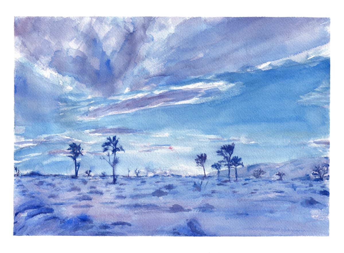 Desert Snow by Emily Schwartzman 