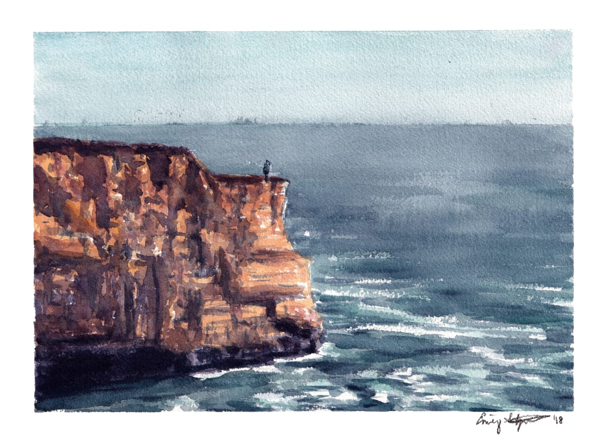 Santa Cruz Cliff by Emily Schwartzman 