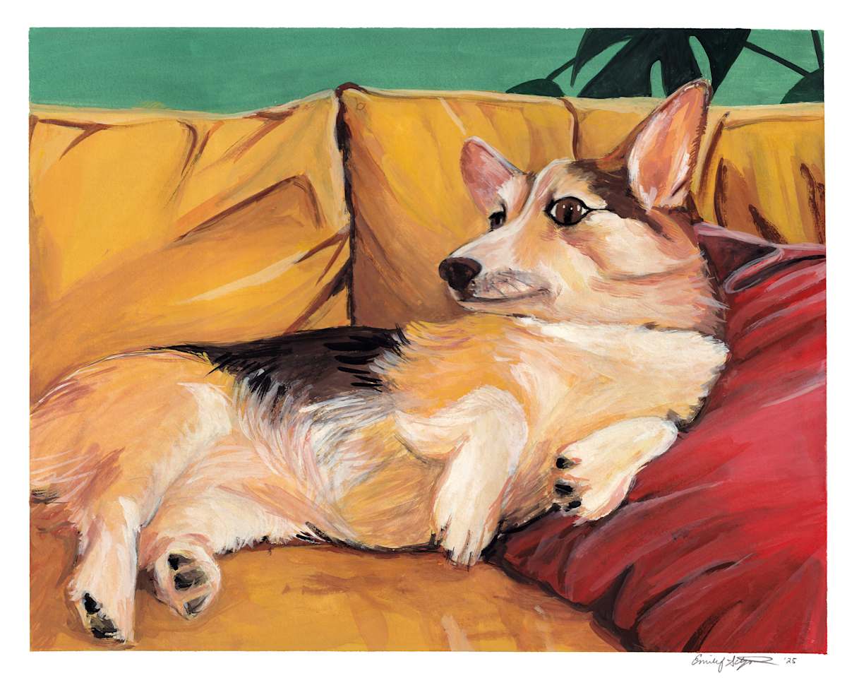 Snacks portrait by Emily Schwartzman 
