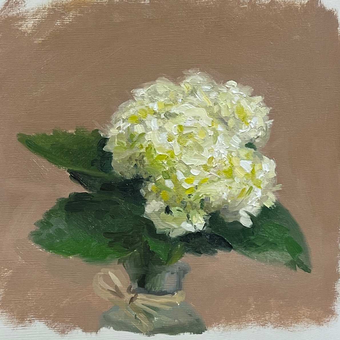 A study of hydrangea by Jia Liu 