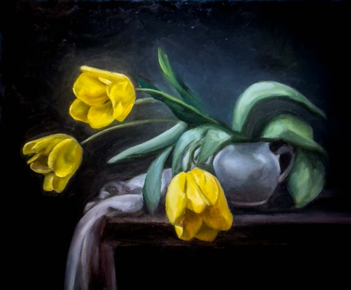 Tulips by Jia Liu 