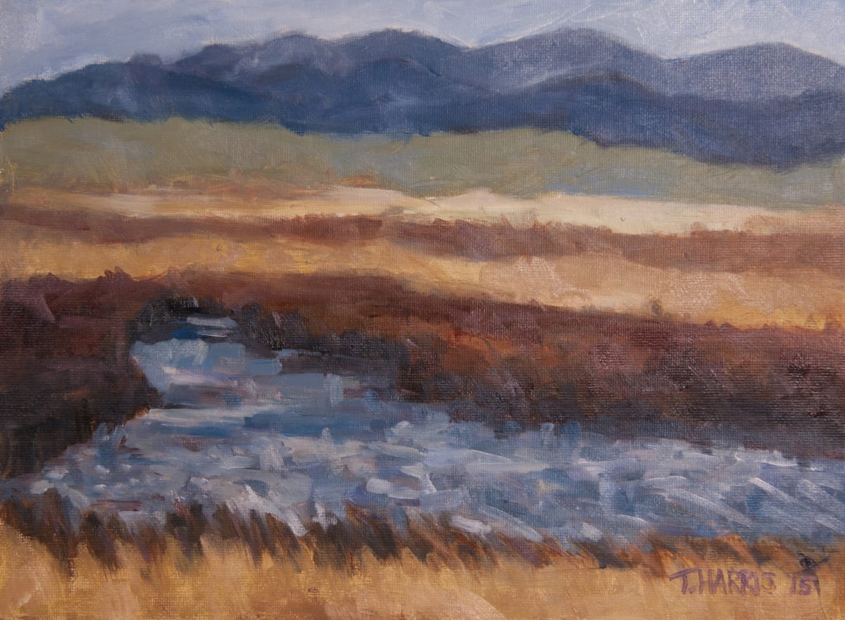 Henry’s Lake, Ovando, Montana by Theresa Harris 