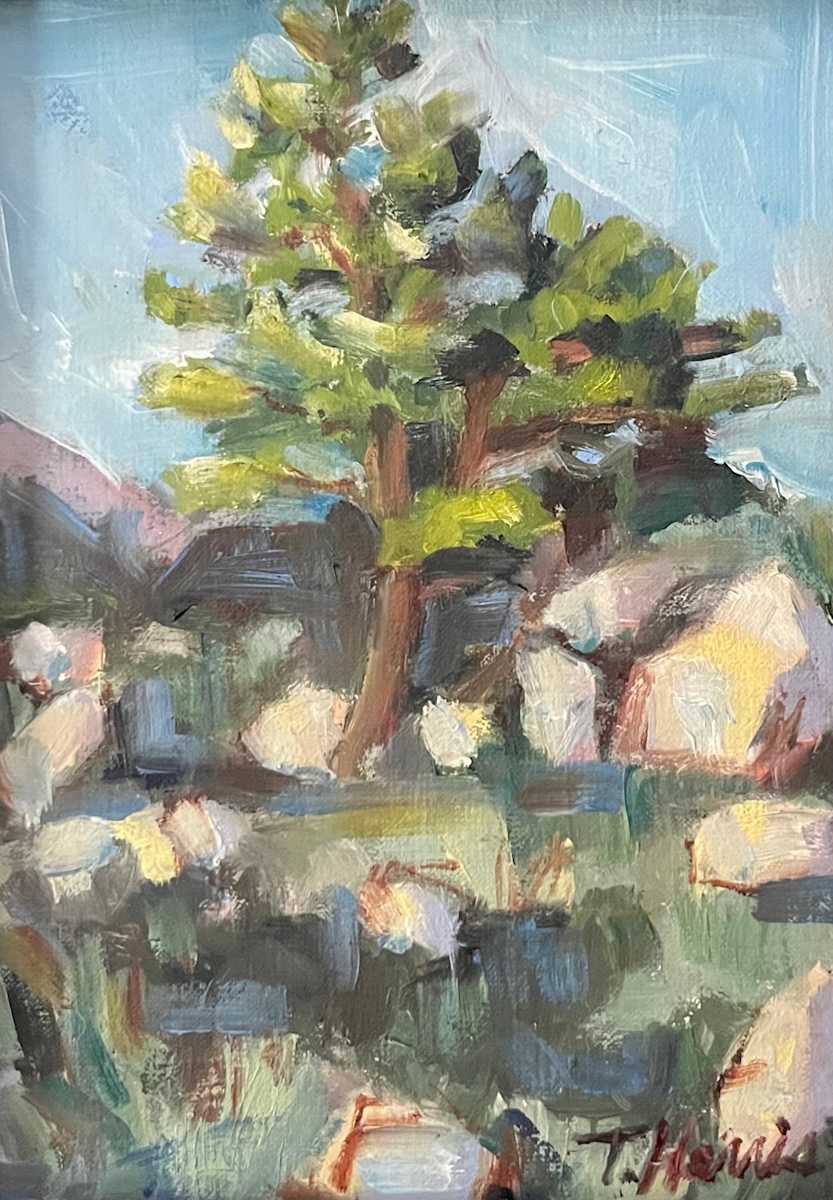 Pinon Pine by Theresa Harris  Image: Pine in the Sierras
