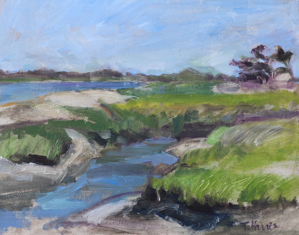 East River, Jekyll Island, GA by Theresa Harris 
