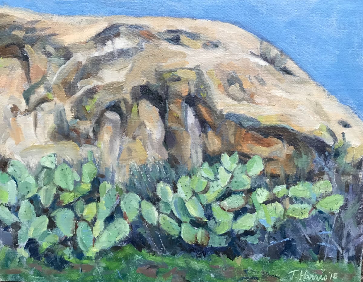 Prickly Cactus, Simi Valley, California by Theresa Harris 