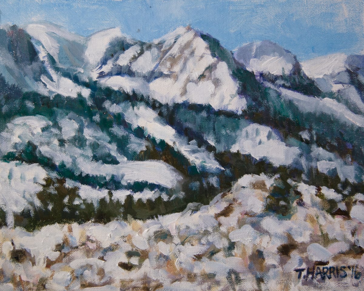 Sherwin Range, Mammoth Lakes, California by Theresa Harris 