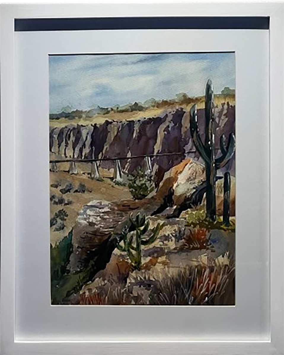 Charco Vista 