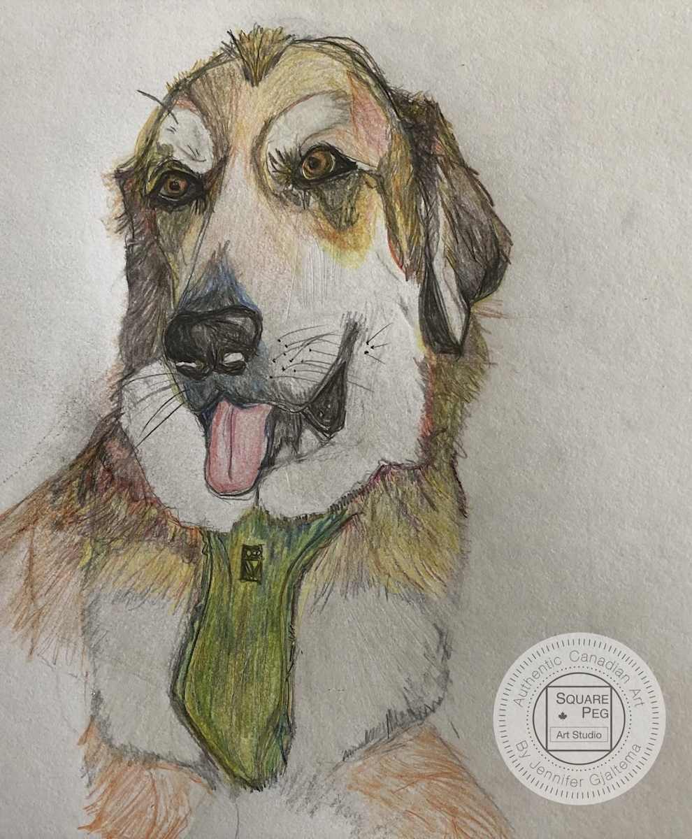 Shaggy by Jennifer Gjaltema 
