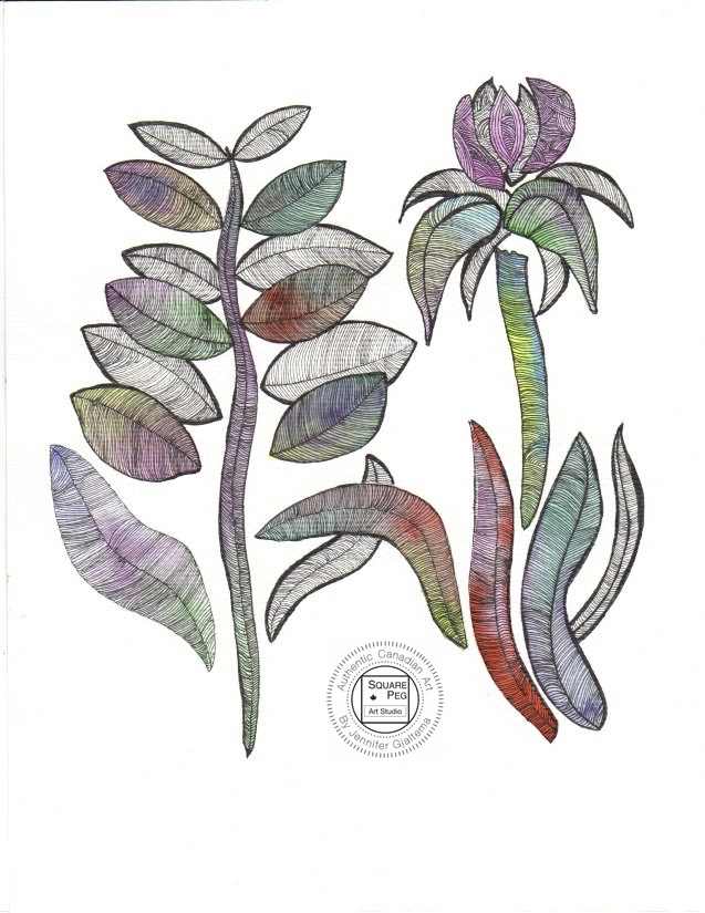 Tulip by Jennifer Gjaltema 