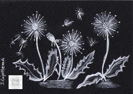 Weeds Have Feelings Too by Jennifer Gjaltema 