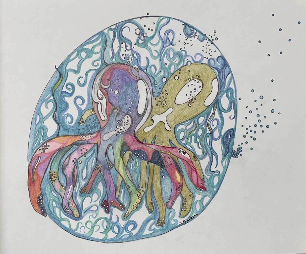 What An Entanglement by Jennifer Gjaltema 
