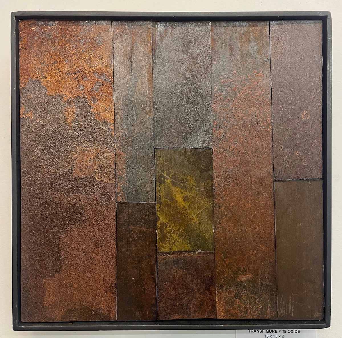 TRANSFIGURE #19 OXIDE by Greg  Mueller 