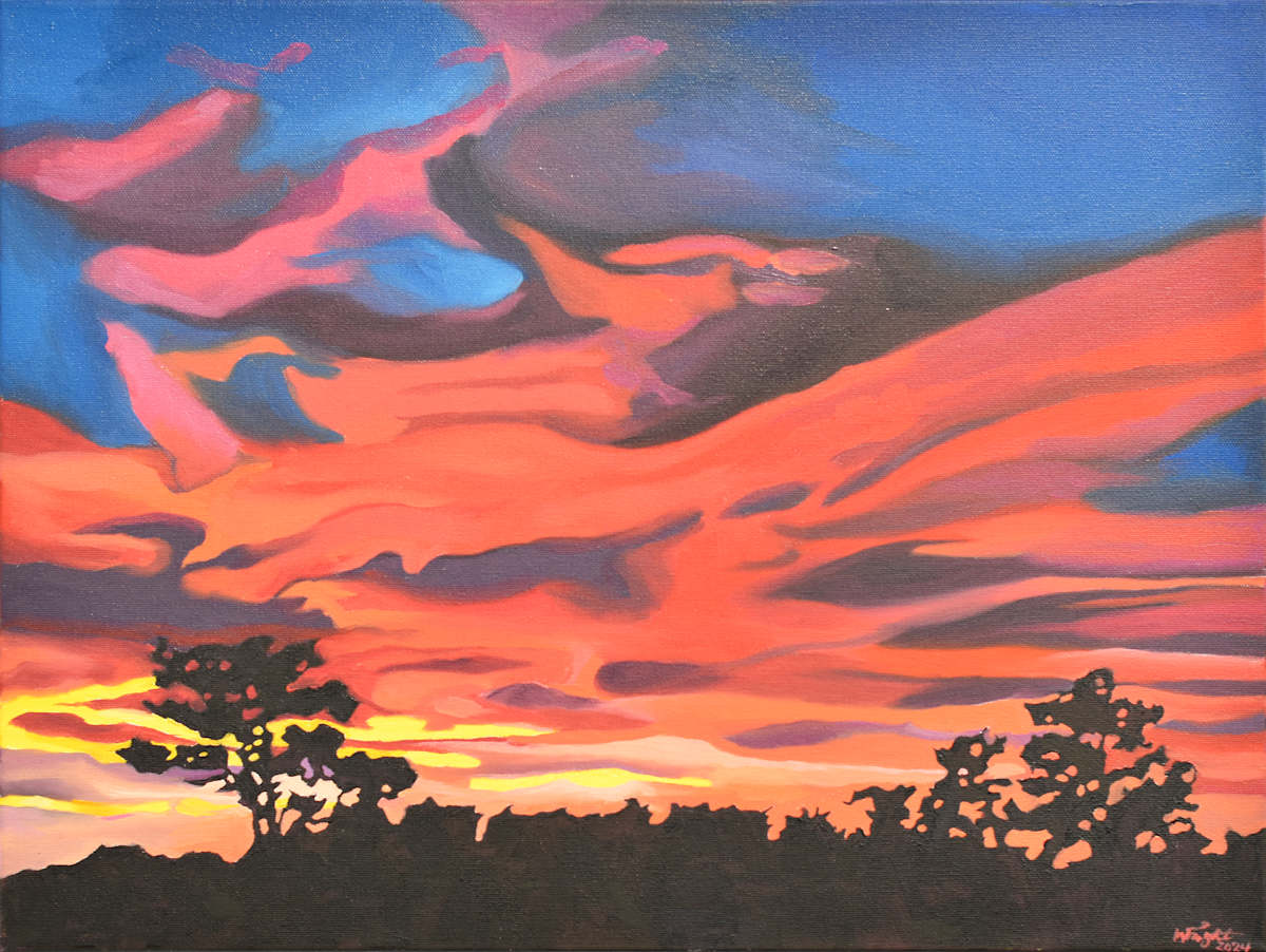 Embers In The Sky by Heather  Wright 