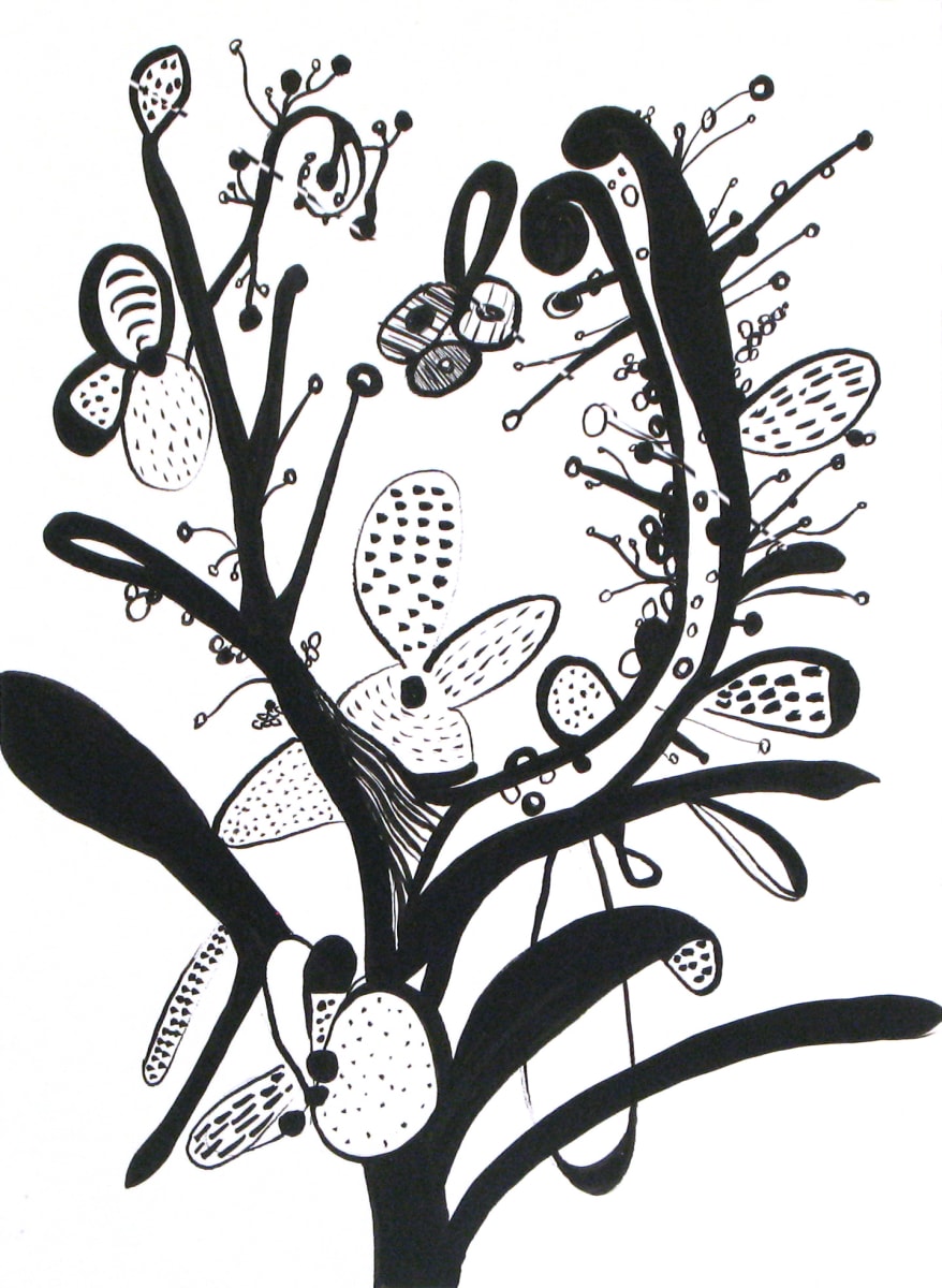 Produce by Marlene Sinicki, Image 1.
