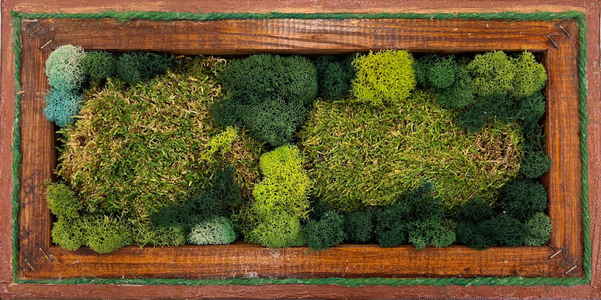 Moss Piece 1 by Carole Moore 