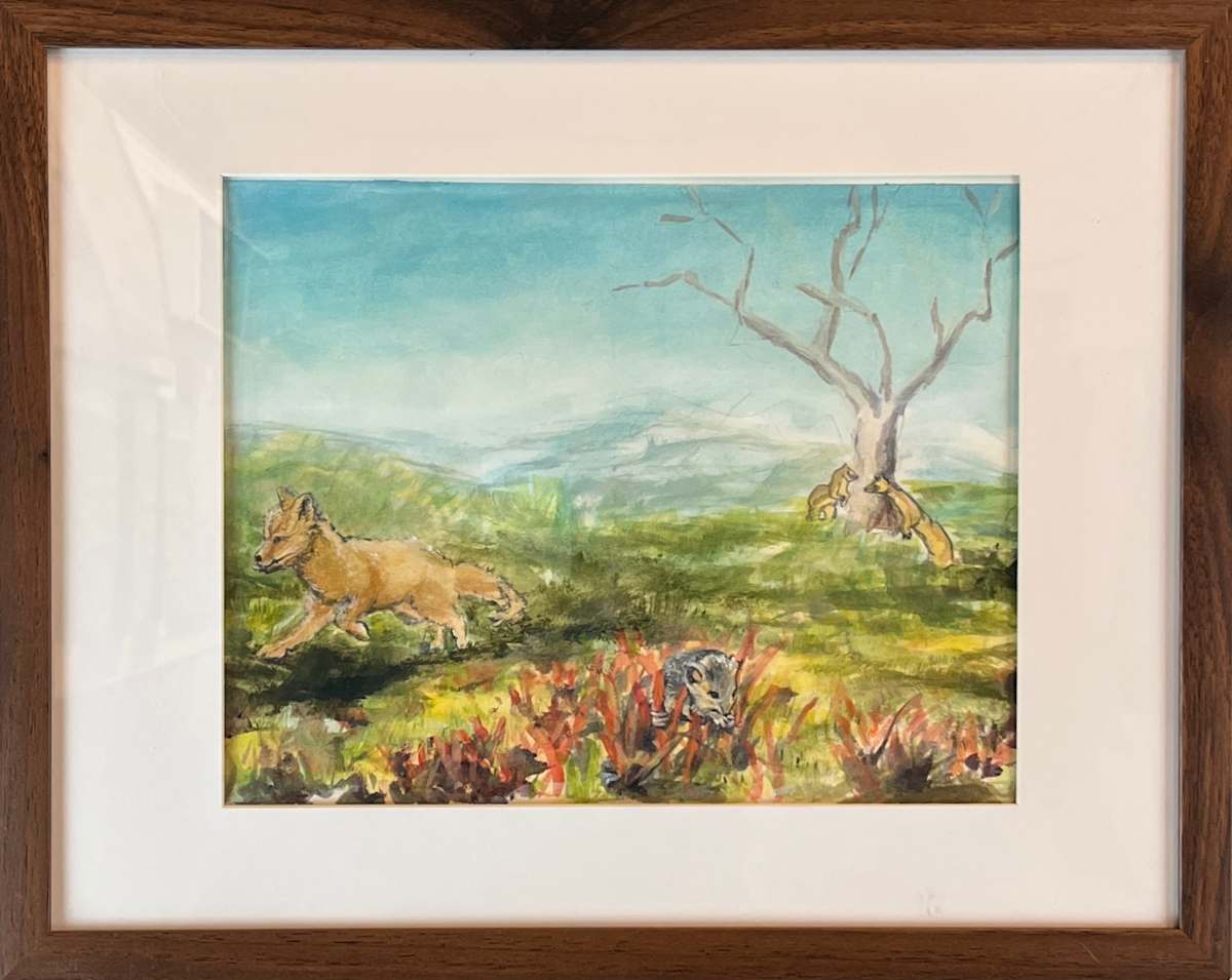 Monterey Fox Kit by Carole Moore  Image: From a collection of studies made for two murals I painted and installed at Stanford's Lucile Packard children's hospital. 