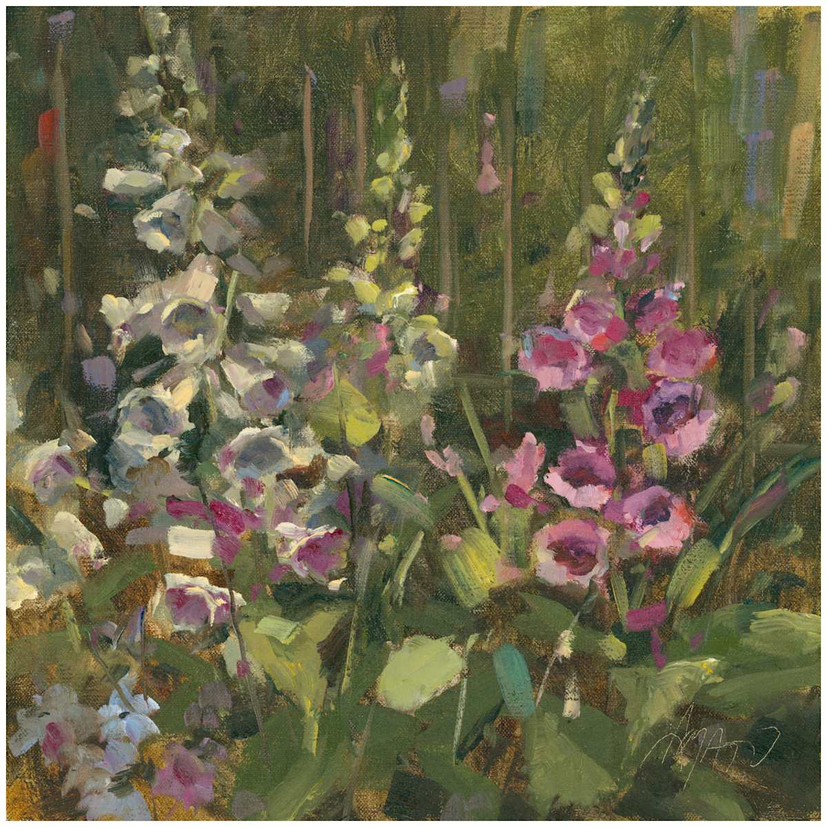 3 Foxes by Stephanie Amato 