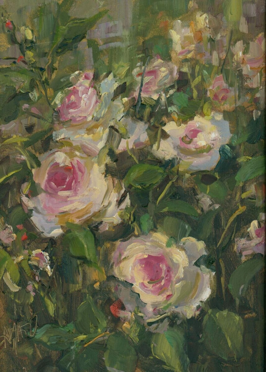 Pink Roses by Stephanie Amato 