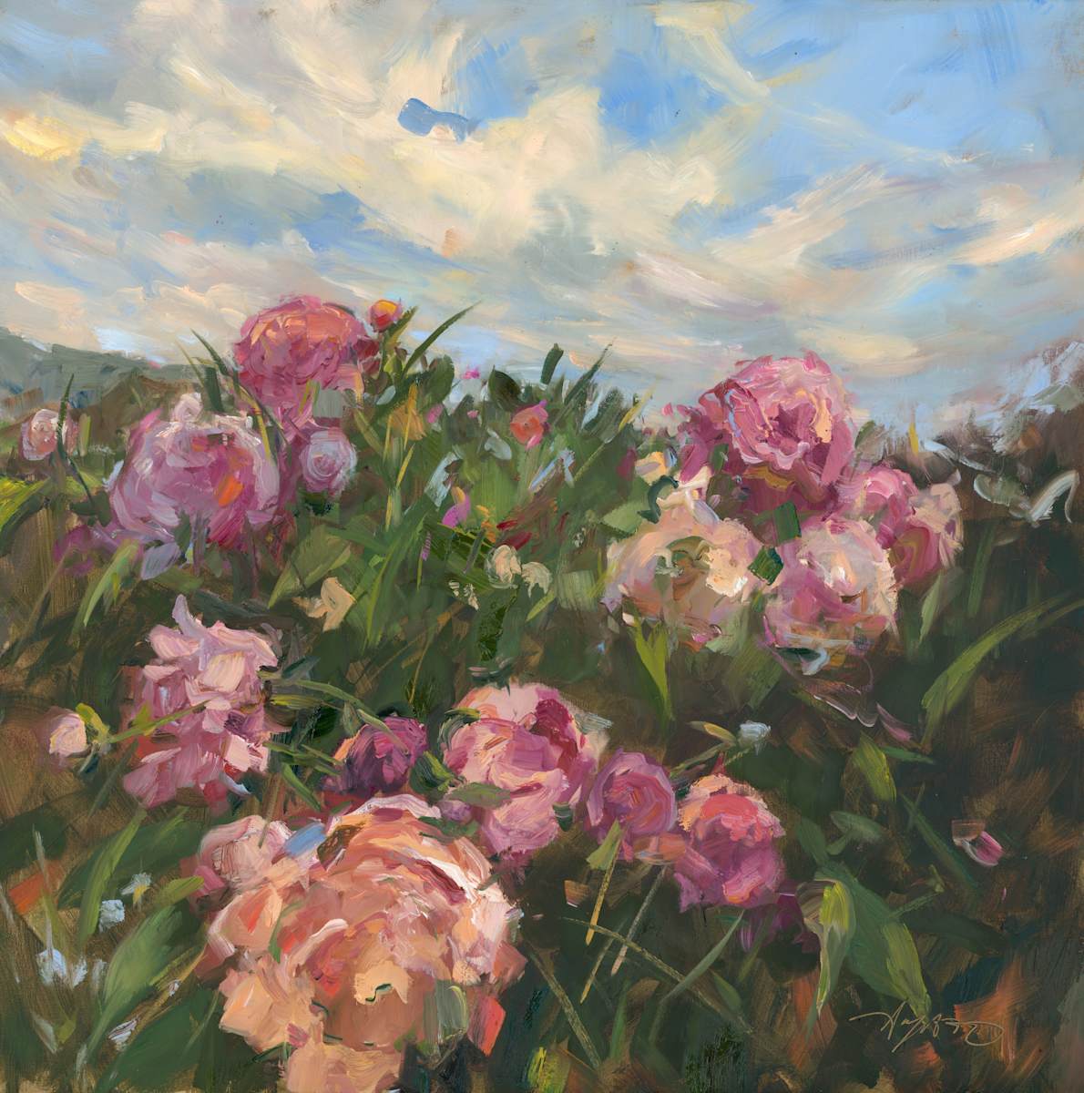 A Garden in the Clouds by Stephanie Amato, Image 1.