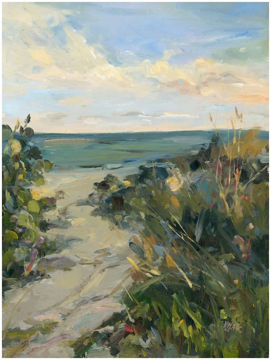 Beach Pathway by Stephanie Amato 