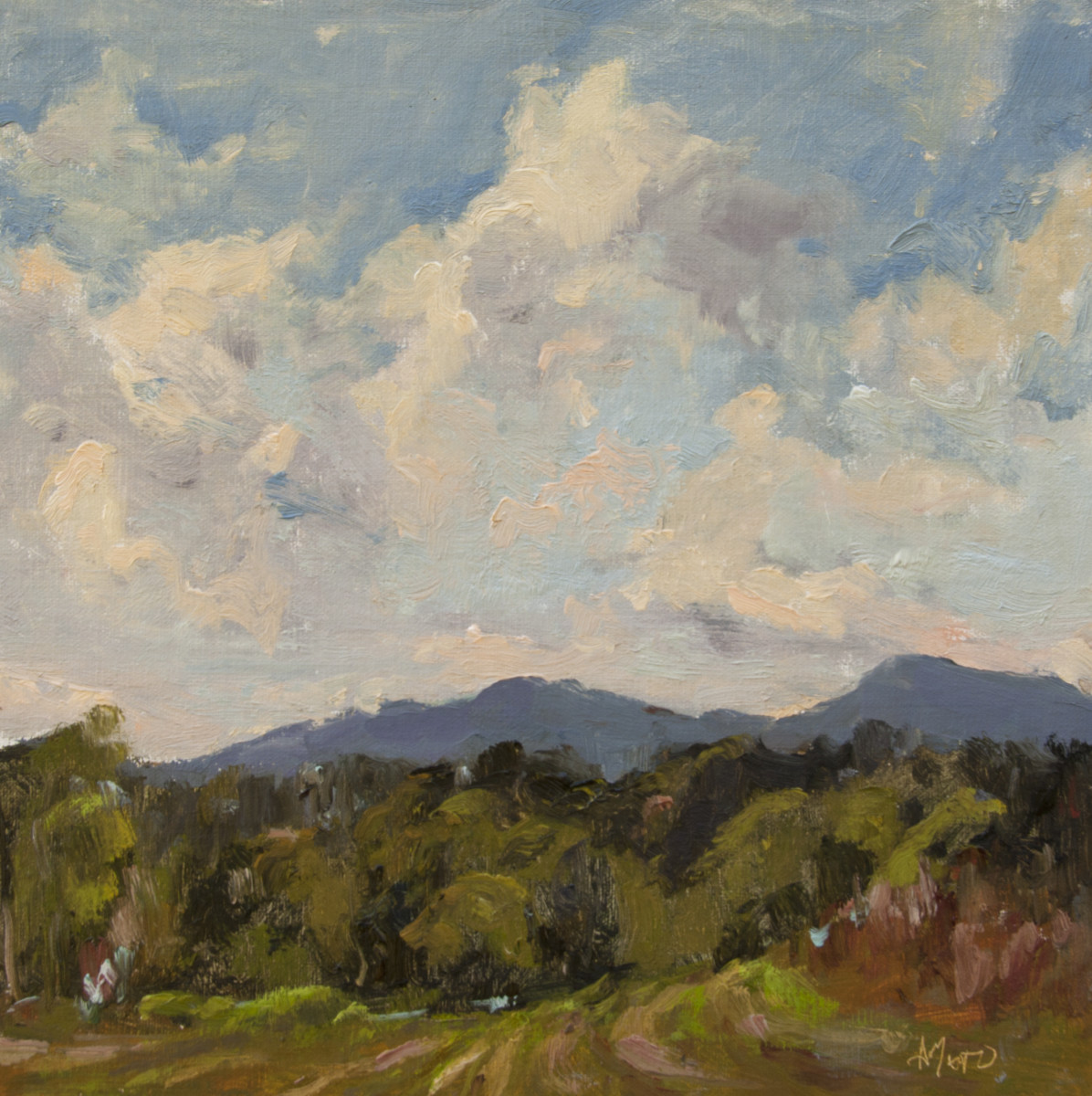 Afternoon Clearing by Stephanie Amato 