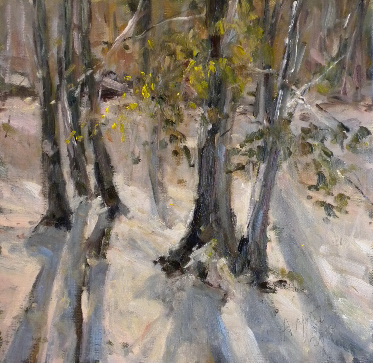 Winter Light by Stephanie Amato 