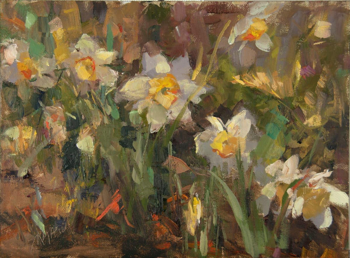 Daffodils in the Garden 