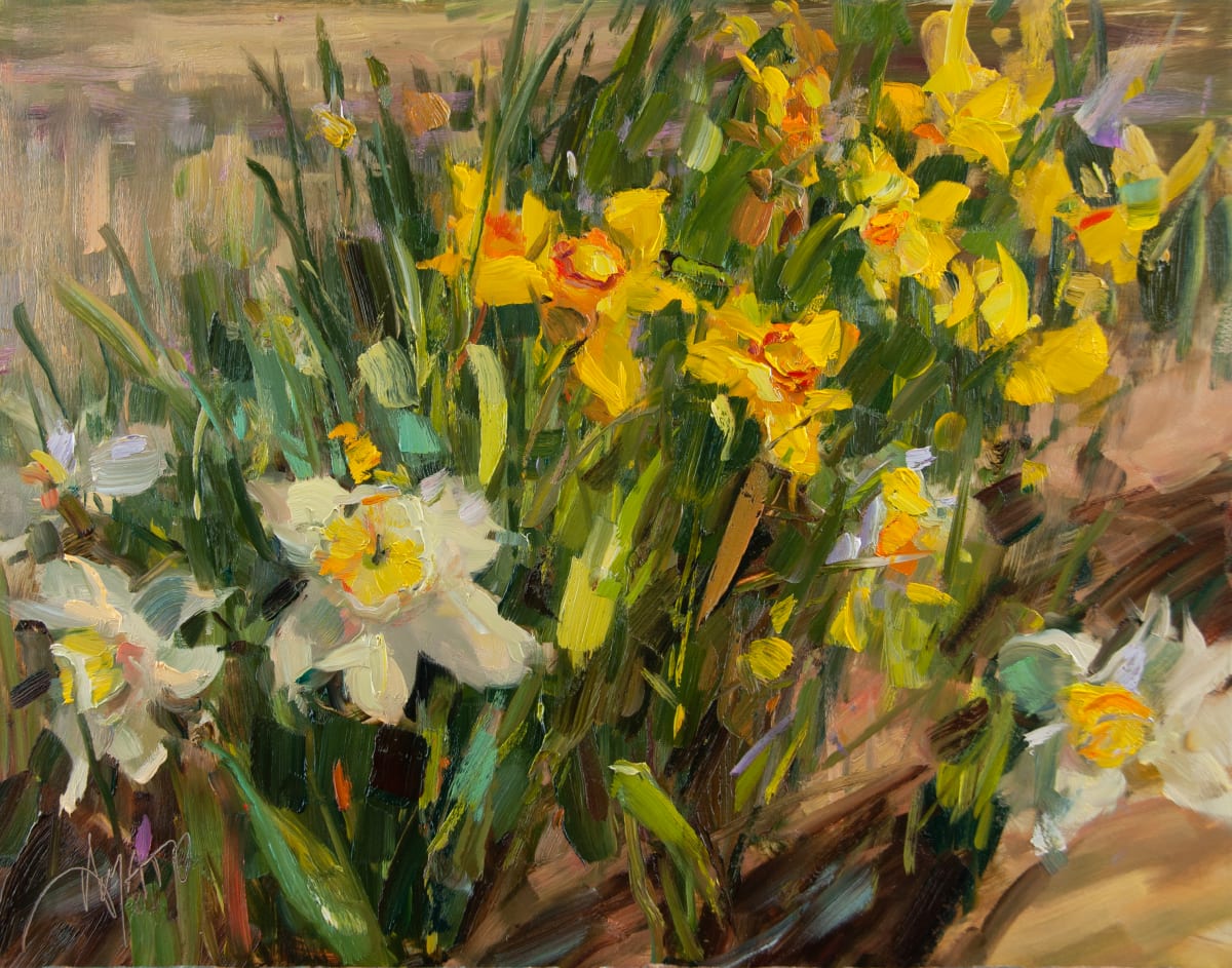 Flurry of daffodils by Stephanie Amato, Image 2.