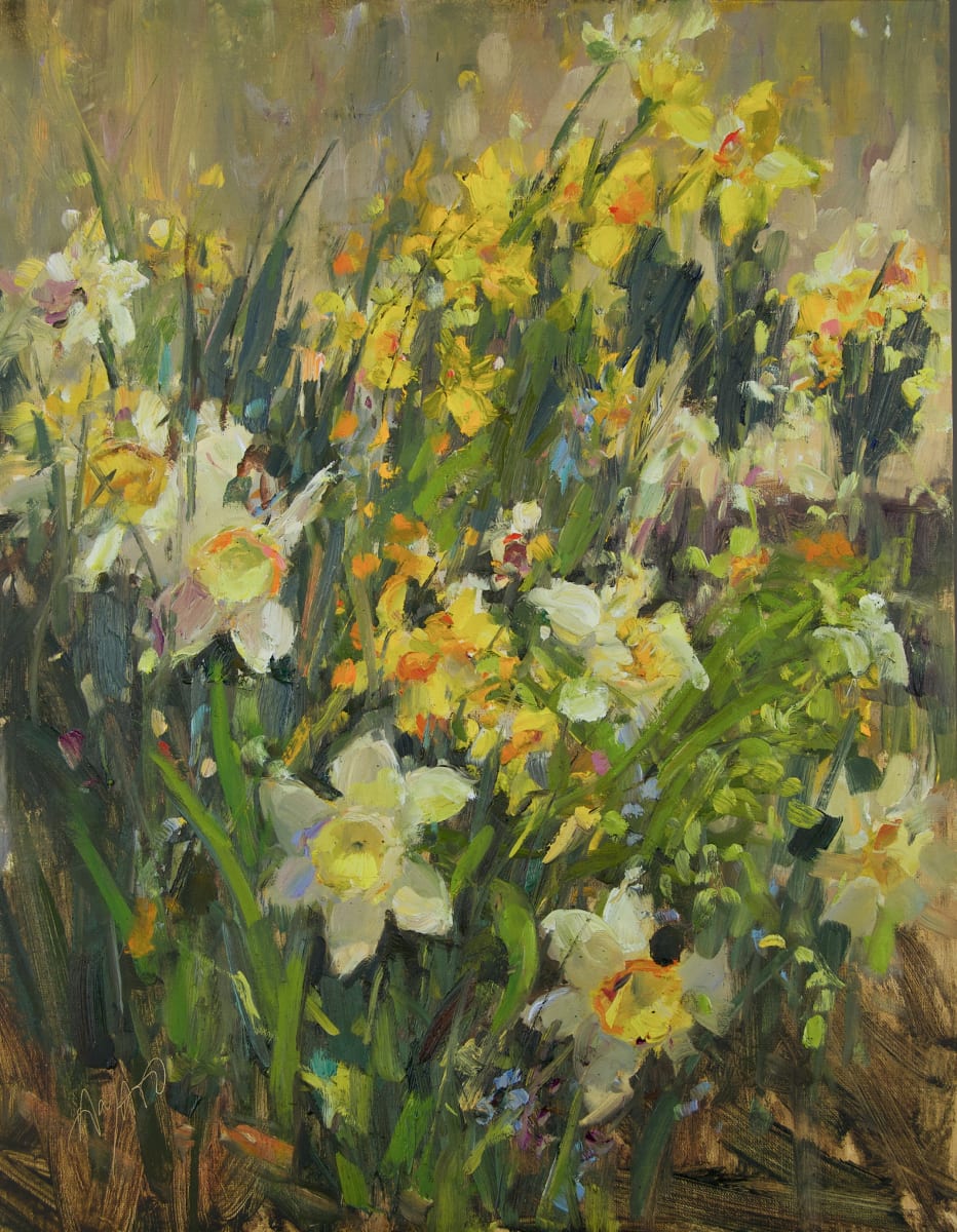 Garden of Daffodils, Image 1.