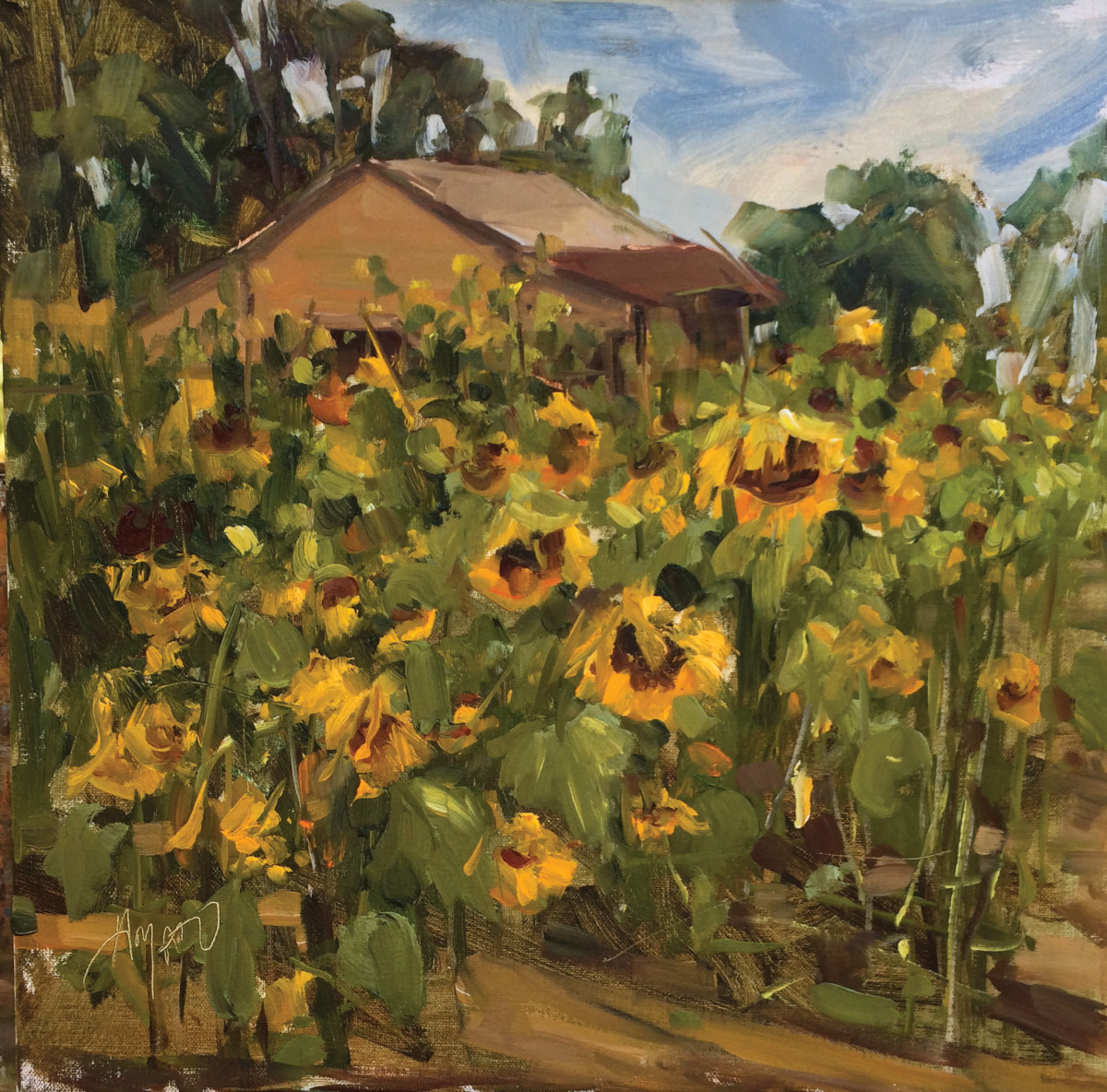 Georgia Sunflowers by Stephanie Amato 