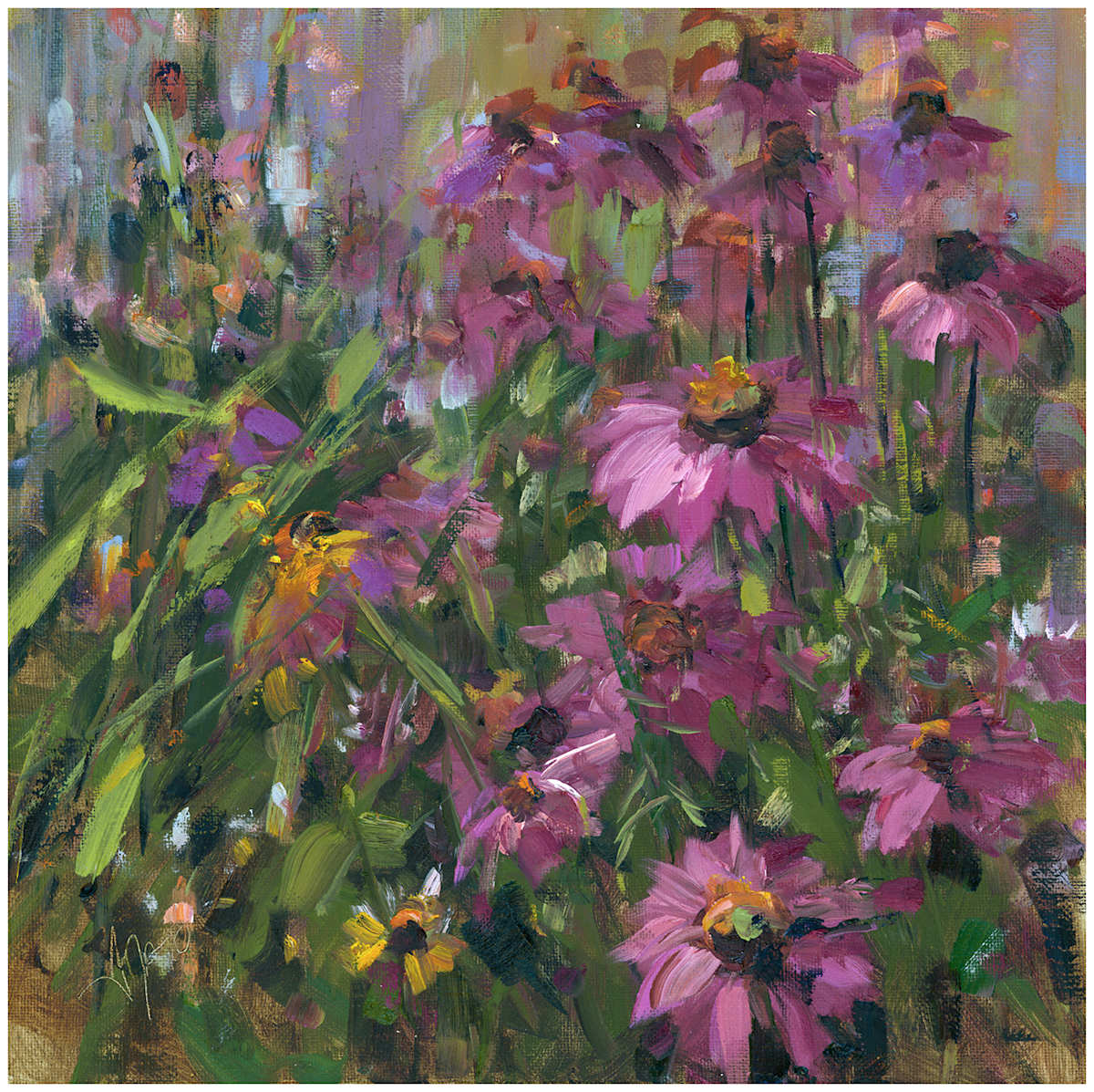 Glorious Echinacea by Stephanie Amato, Image 1.
