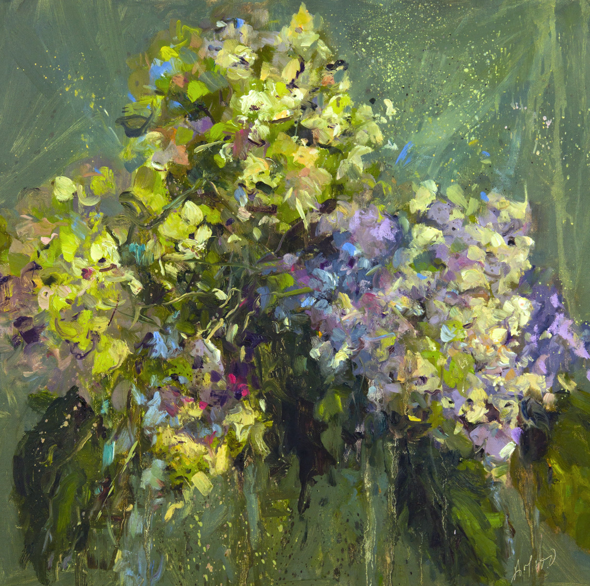 Hydrangea Jubillee by Stephanie Amato 