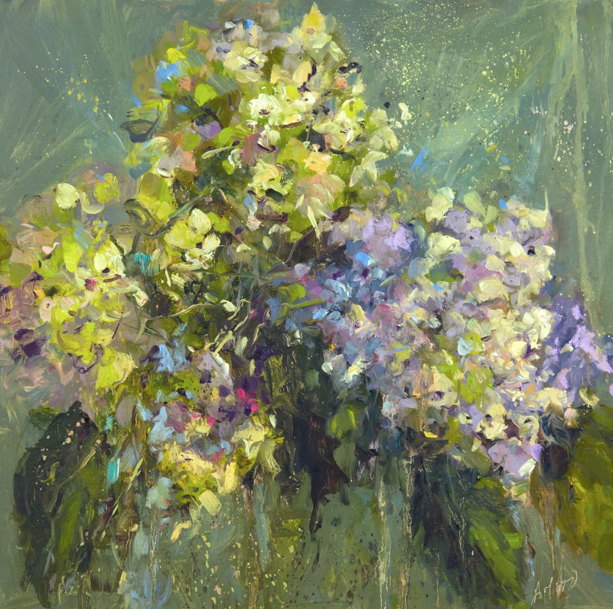 Hydrangea Jubillee by Stephanie Amato, Image 1.