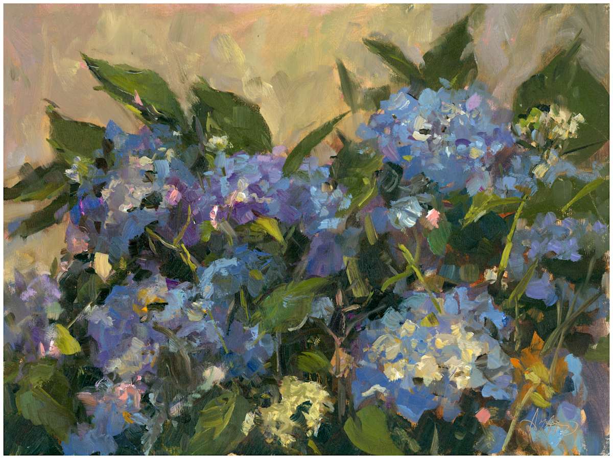 Hydrangeas in Blue by Stephanie Amato 