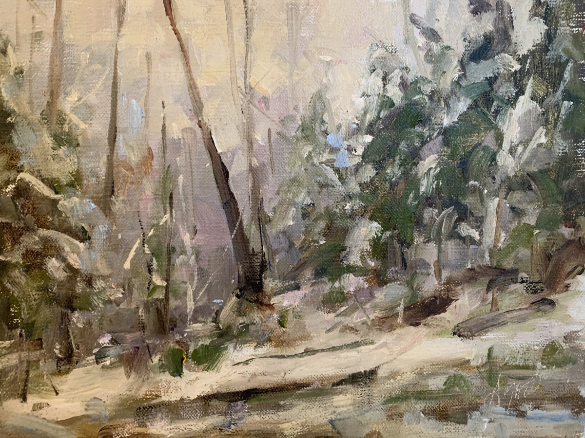 Snowfall in Morning by Stephanie Amato 