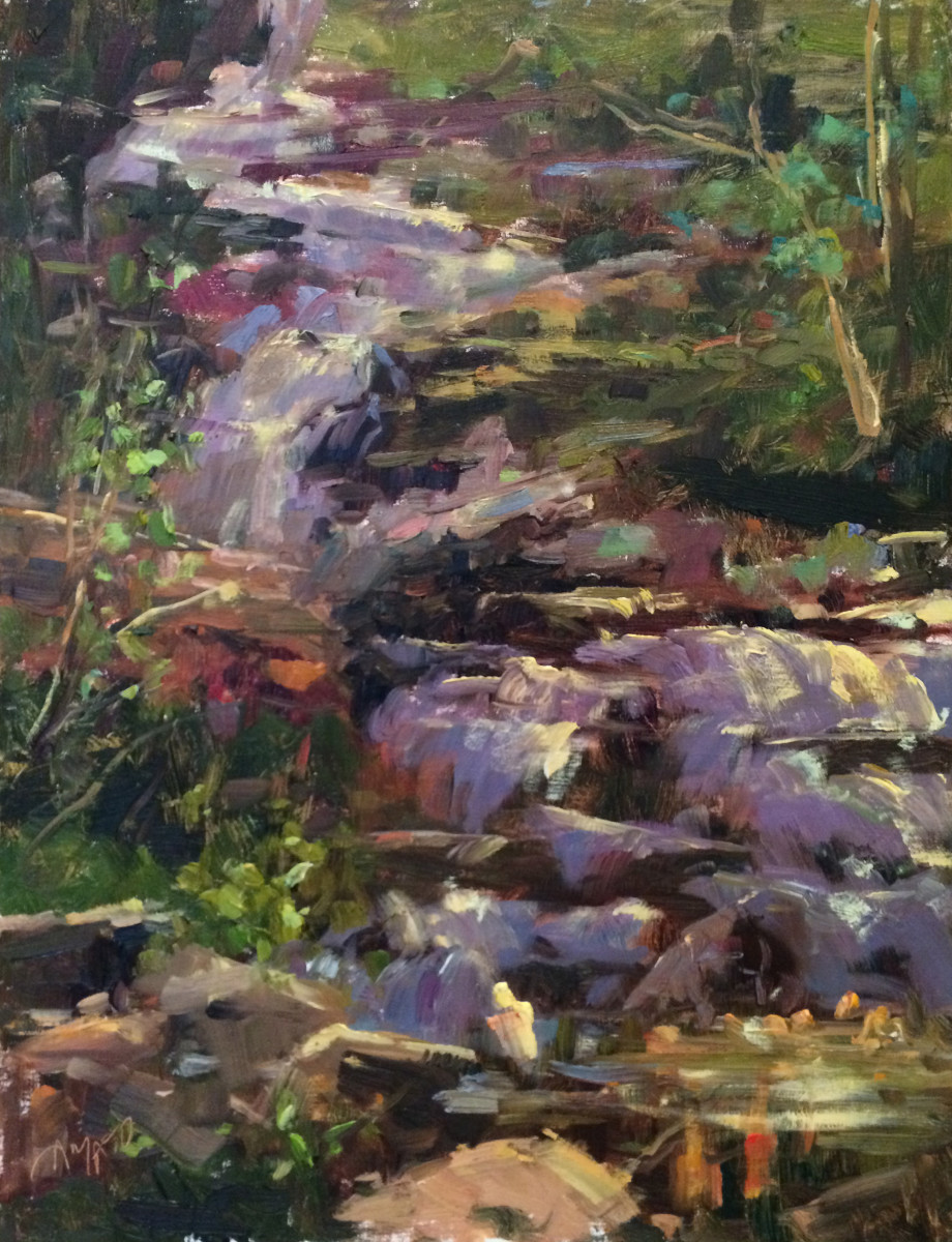 Waterfall of North Georgia by Stephanie Amato, Image 1.