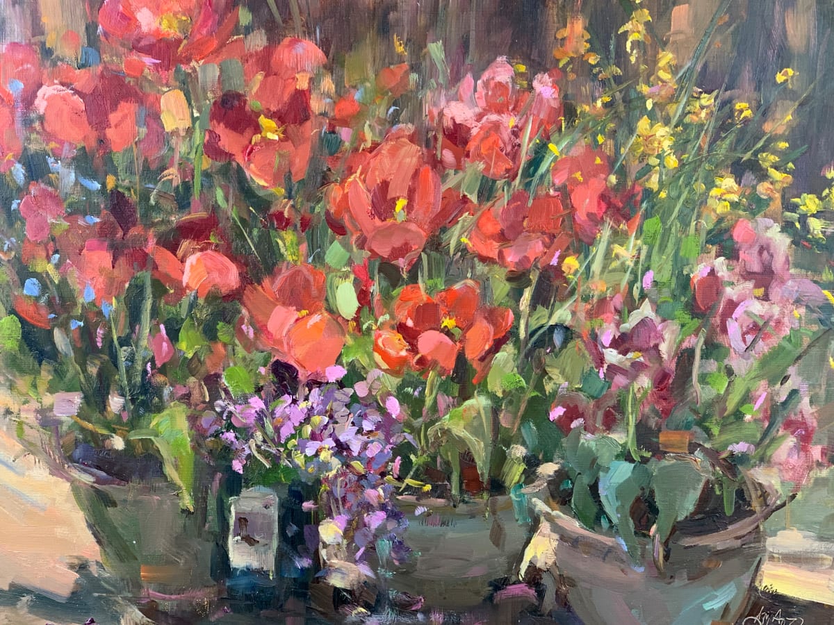 Tulips by Stephanie Amato 