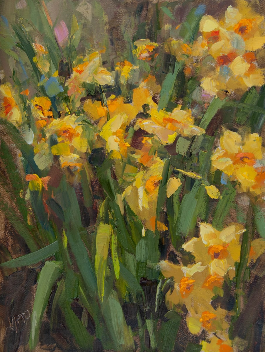 Jonquilles in Bloom by Stephanie Amato 