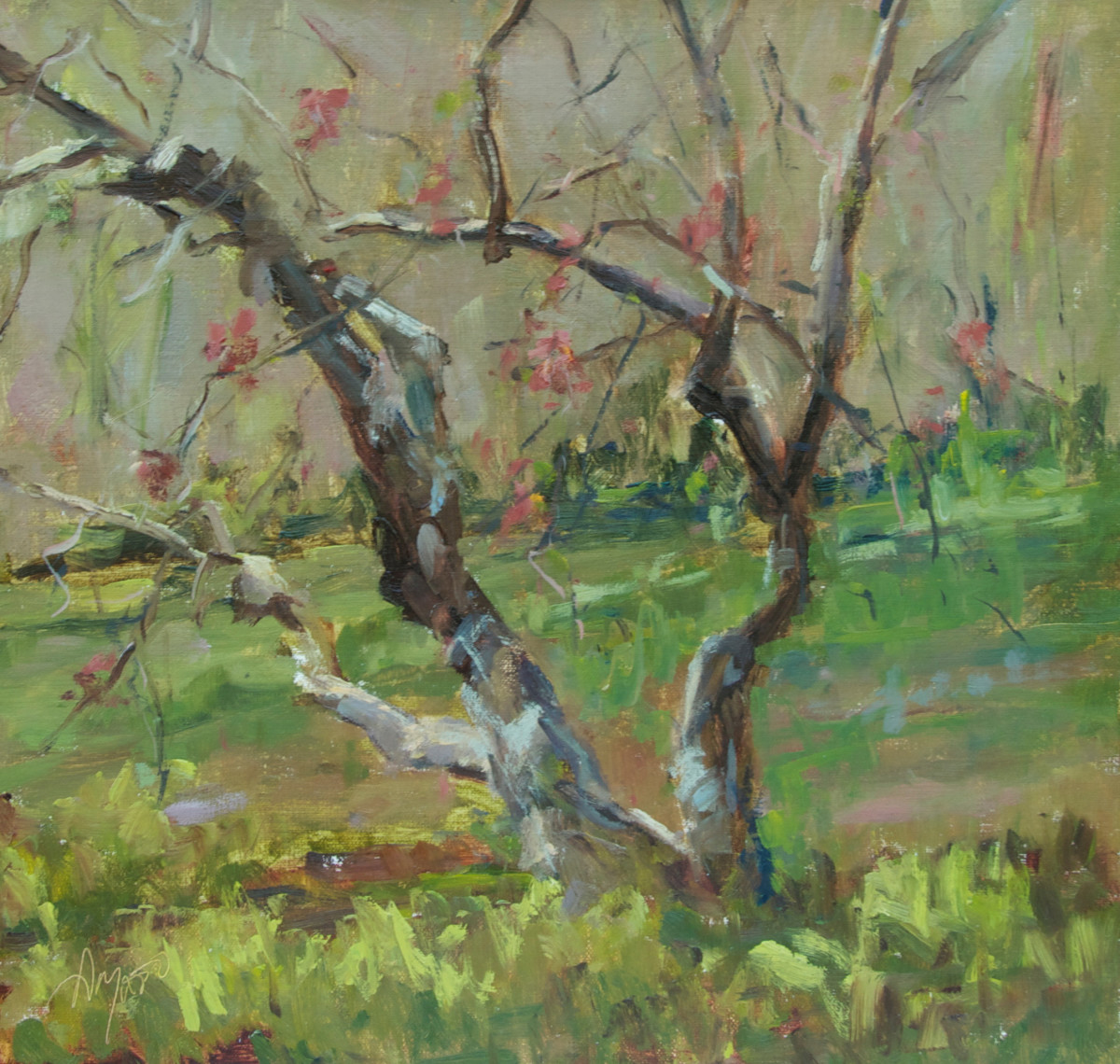 Magnolia's Last Bloom by Stephanie Amato 