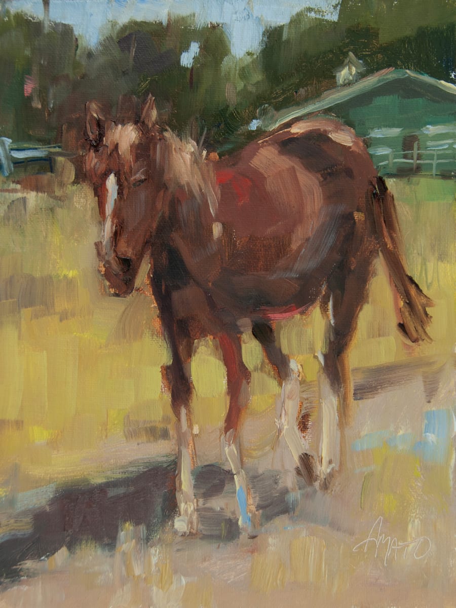 Picture Perfect by Stephanie Amato 