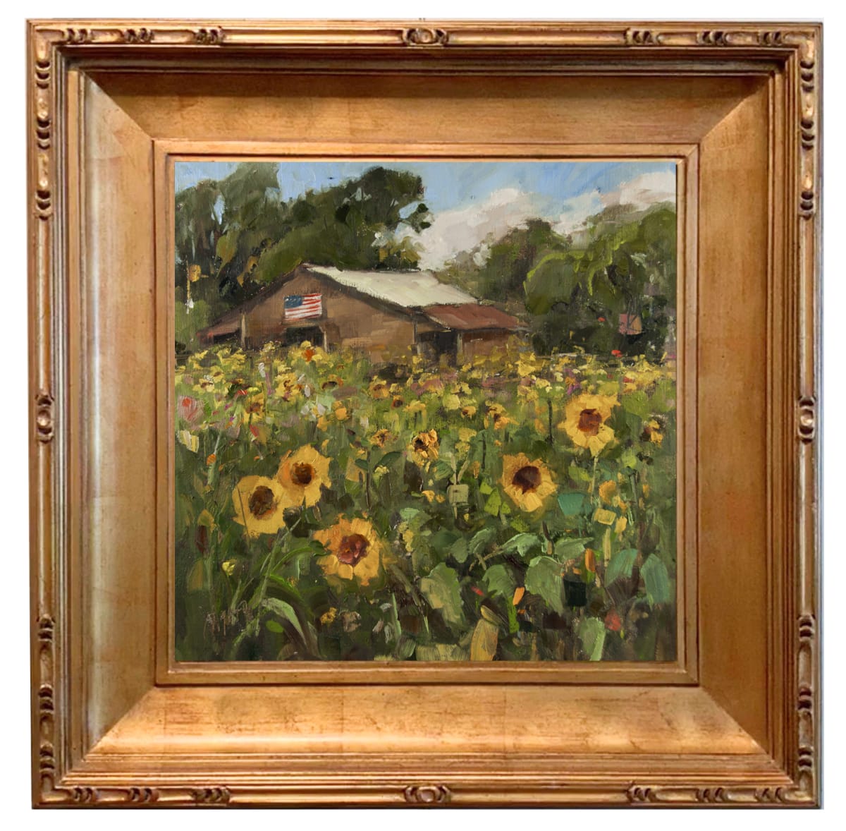 Red White and Sunshine 